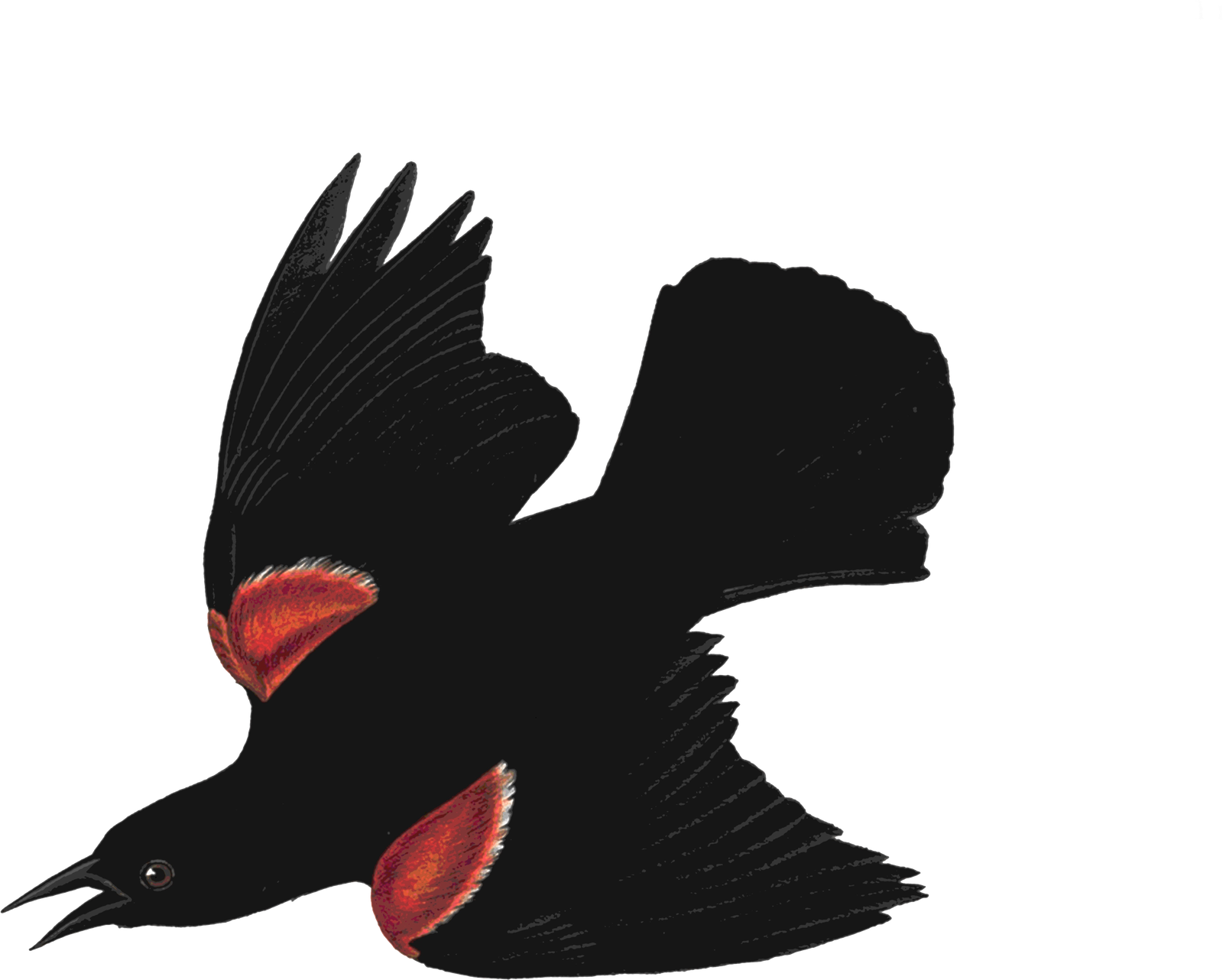 VOGELFREI bird mark